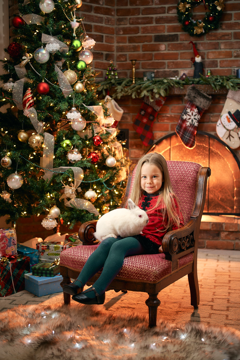 christmas portrait of little girl with rabbit